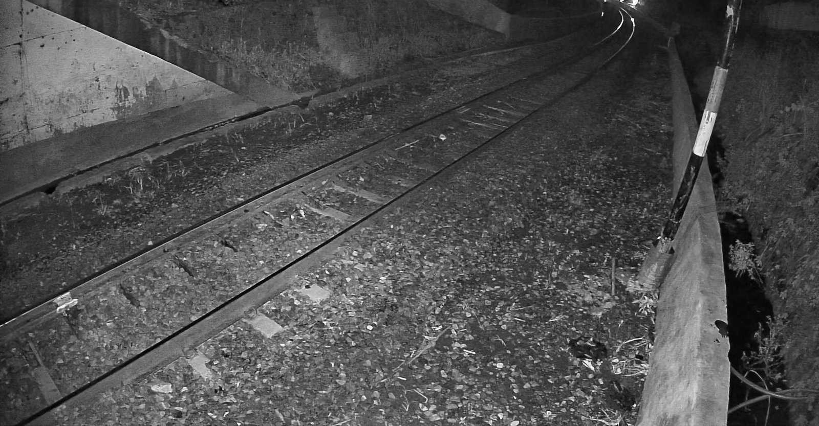 2026-04-28 23:06:24.jpg